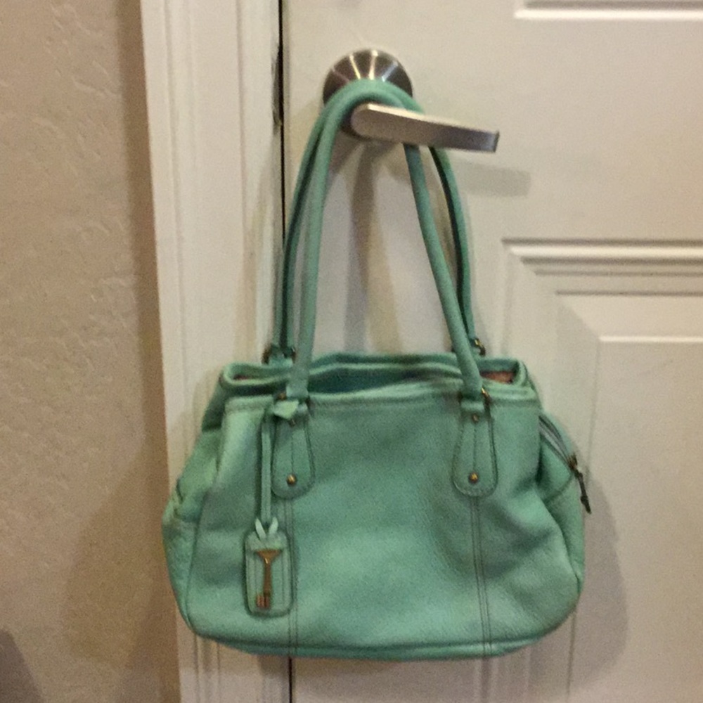 Fossil purse